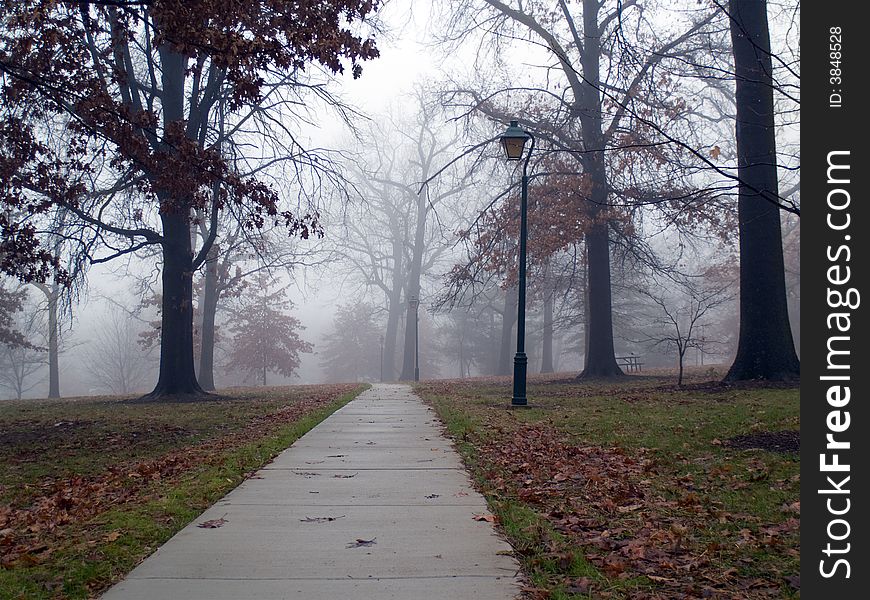 Foggy Morning Path