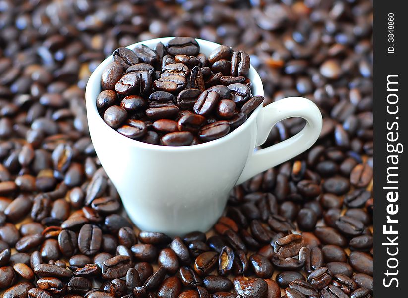 Freshly roasted coffee beans in coffee cup. Freshly roasted coffee beans in coffee cup