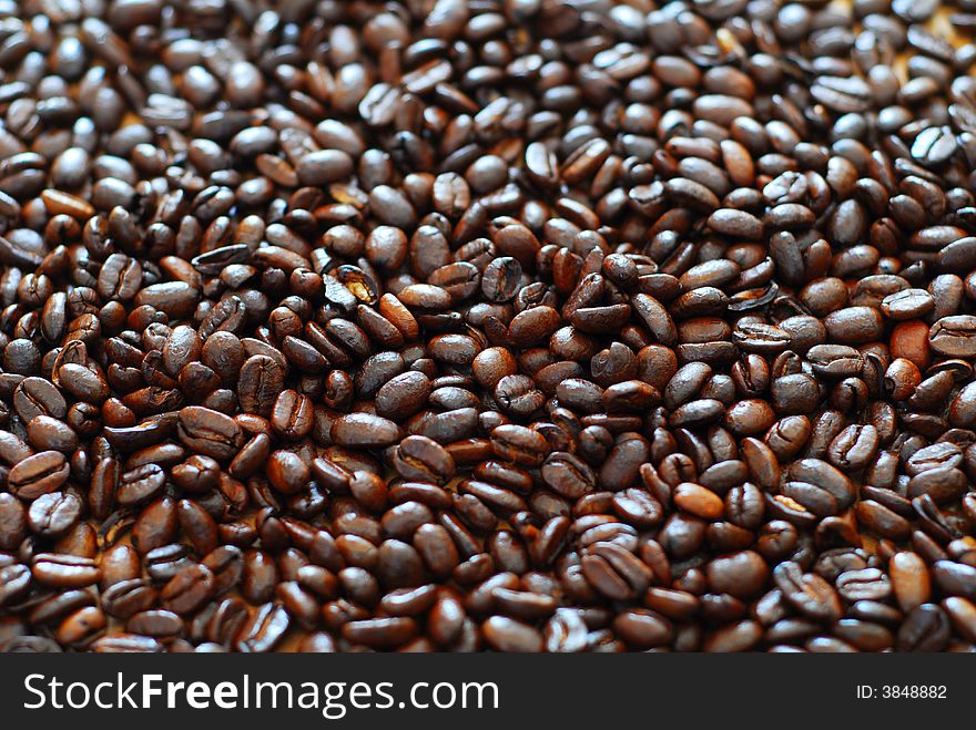 Dark arabica coffee beans in a pile. Dark arabica coffee beans in a pile