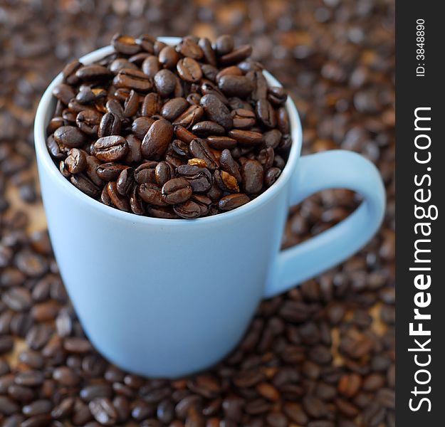 Freshly roasted coffee beans in coffee cup. Freshly roasted coffee beans in coffee cup