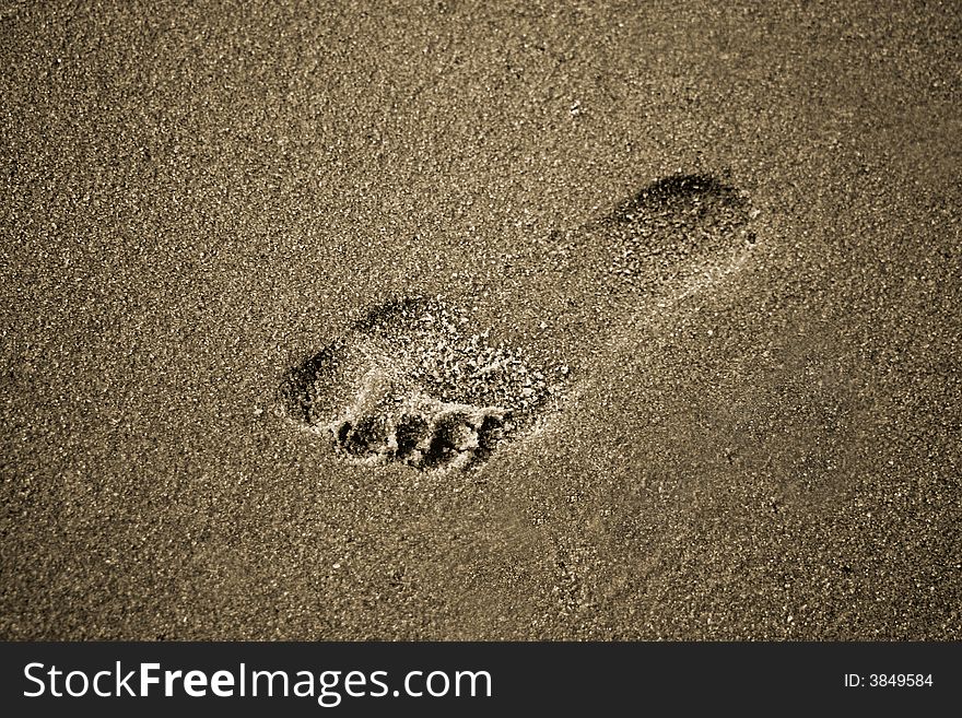 A single foot print on the beach
