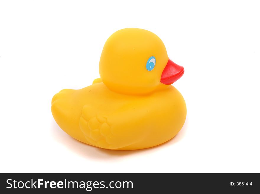 Yelow Duck