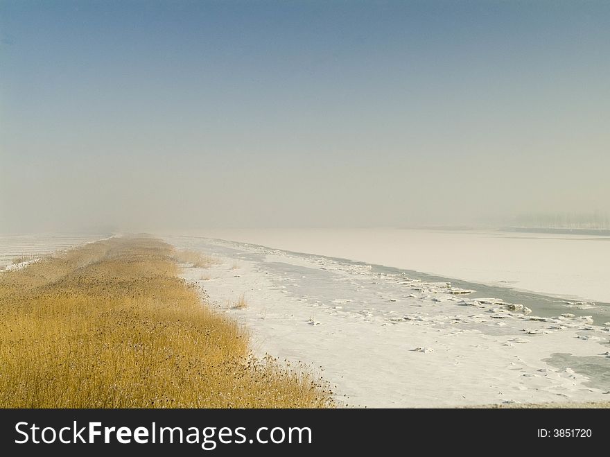 Frozen River And Reed