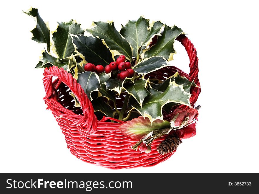 Holly leaves and a red basket. Holly leaves and a red basket