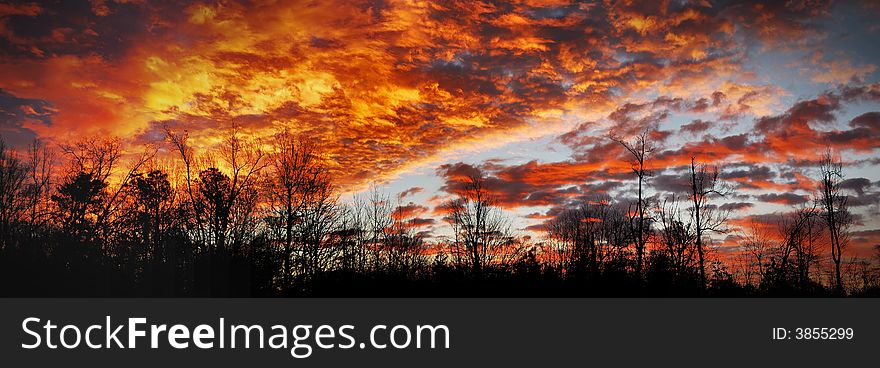 A stunning panorama of a vibrantly colored sunrise. A stunning panorama of a vibrantly colored sunrise.