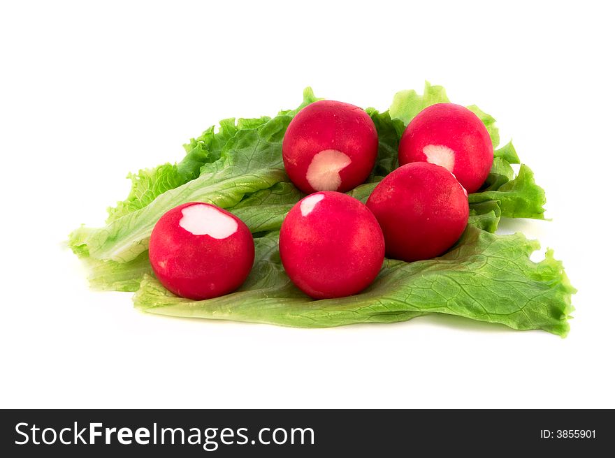 Garden radish and lettuce on white background