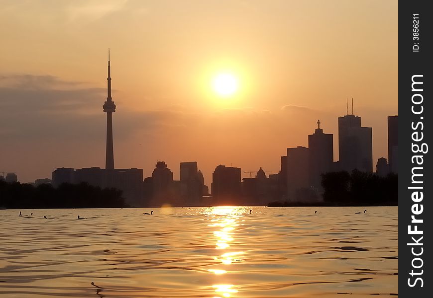 Sunset Lake view of downtown Toronto with swimming geese