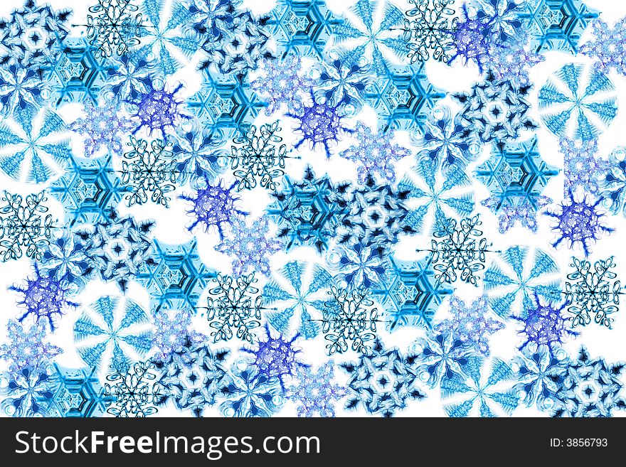 Many blue snow flakes on the white background