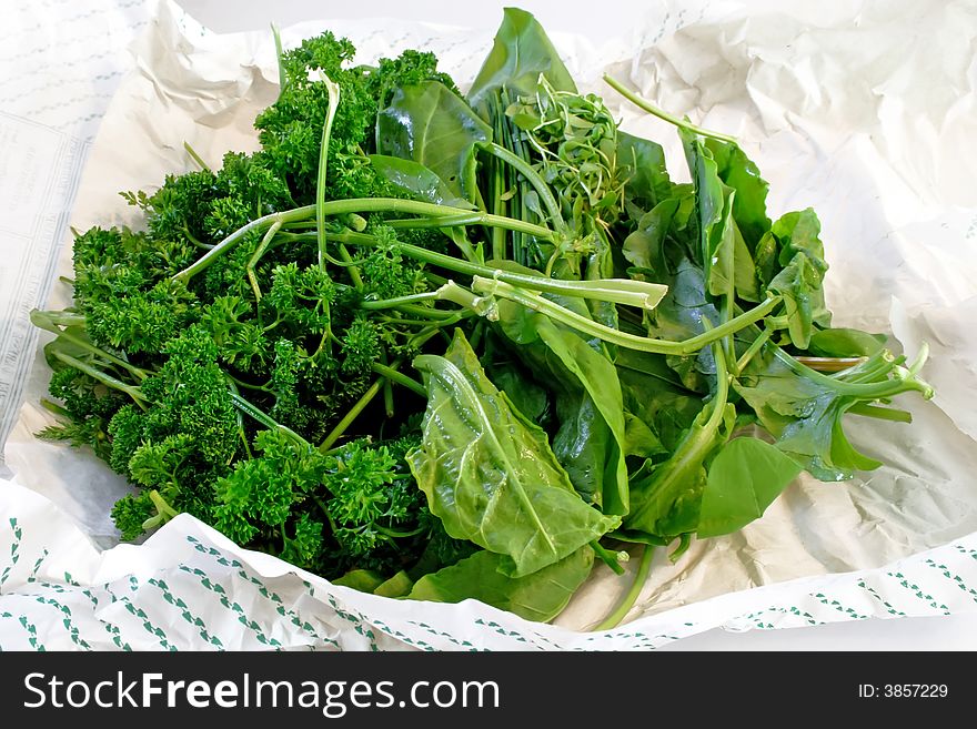 Bunch of freshly picked herbs from the garden. Bunch of freshly picked herbs from the garden.