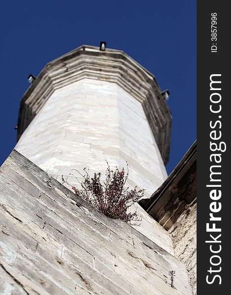 Flowers on minaret under the blue sky