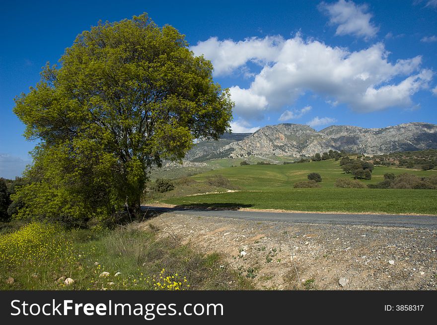 Quiet mountain road under clouded sky