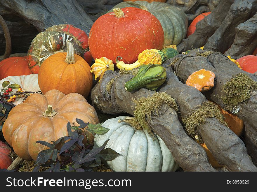 Traditional seasonal decoration with pumpkins