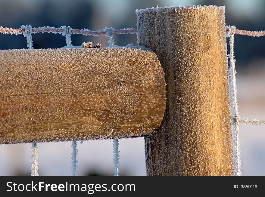 Detail Of Frozen Fence Post