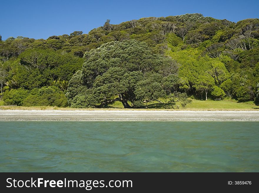 Tropical beach with majestic tree perfect to spend vacation. Tropical beach with majestic tree perfect to spend vacation