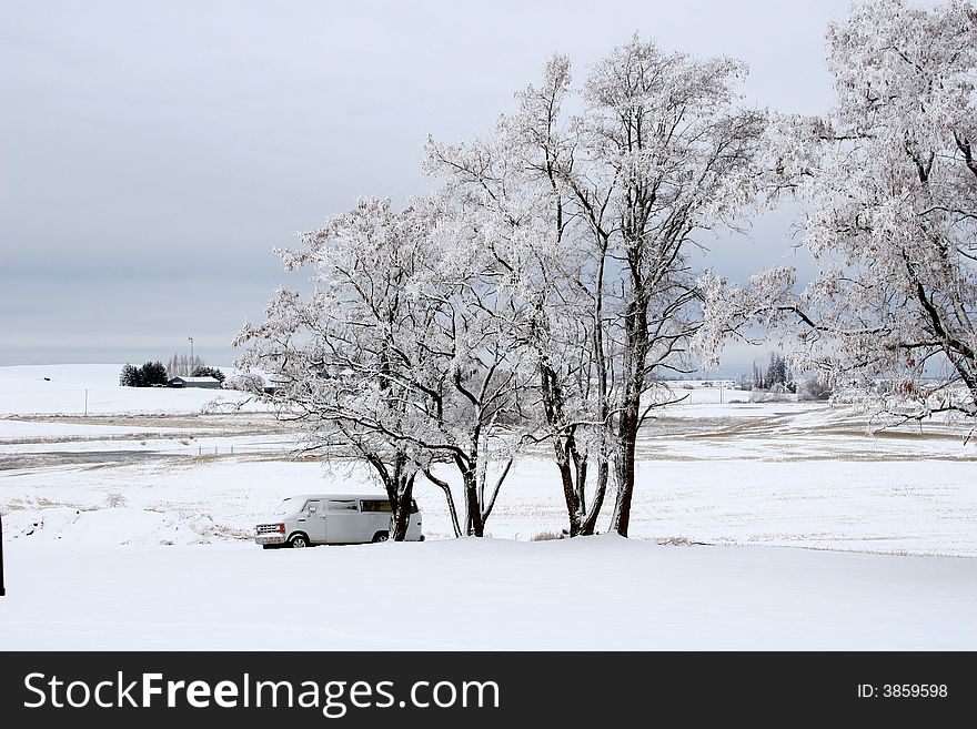 Van abandoned for the winter by a line of snow-covered trees. Van abandoned for the winter by a line of snow-covered trees