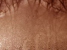Water Drops On Glass Surface Stock Photos