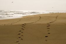 Footprints Royalty Free Stock Photography Footprints Royalty Free Stock Photography