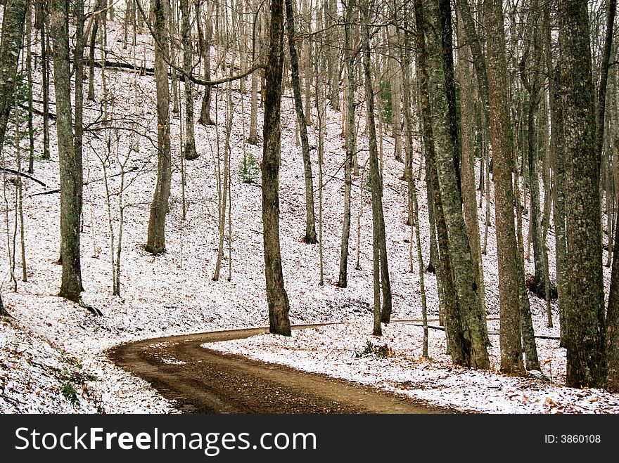 Dirt road in the forest with a light dusting of snow. Dirt road in the forest with a light dusting of snow.