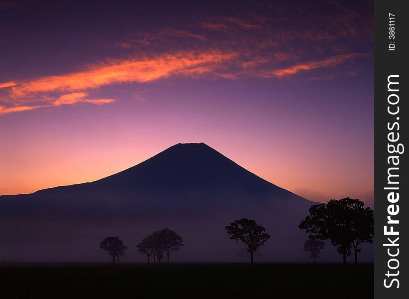 Mt. Fuji with trees before the sunrise. Mt. Fuji with trees before the sunrise