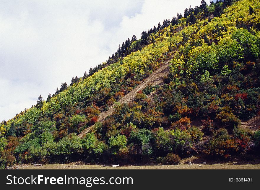 It is a colorful mountain in autumn.
See more my images at :) http://www.dreamstime.com/Eprom_info