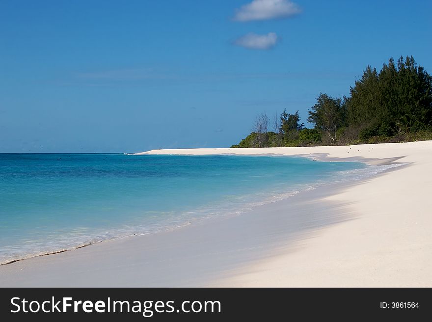 The beach of Bird Island, Seychelles. The beach of Bird Island, Seychelles