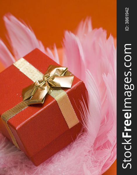 Red gift box on pink feather