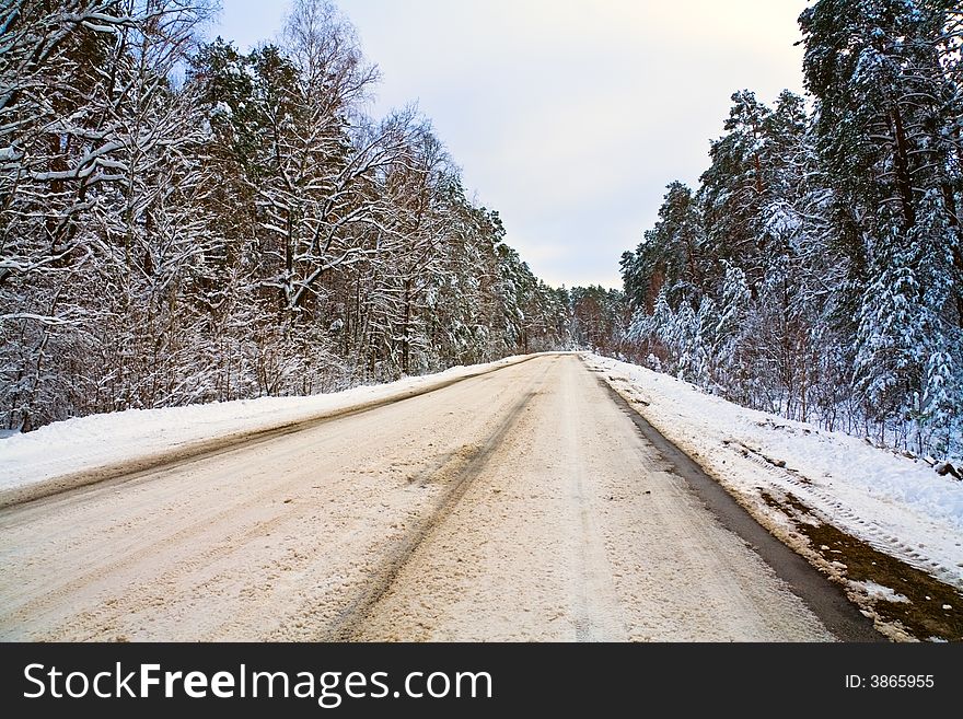 Winter road in the forest