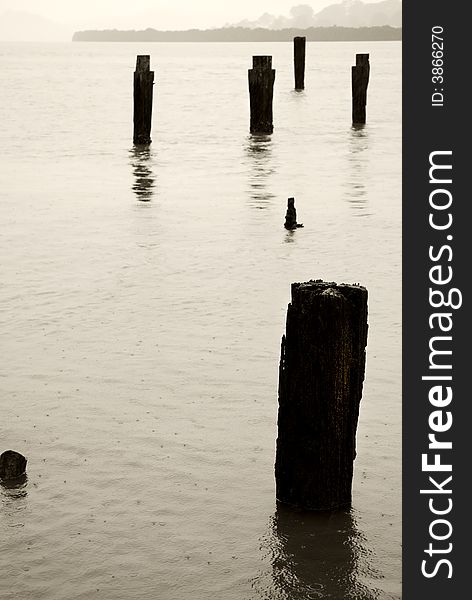 Old Wharf Posts In Harbour