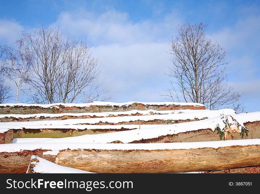 Snow Covered Stack Of Wood