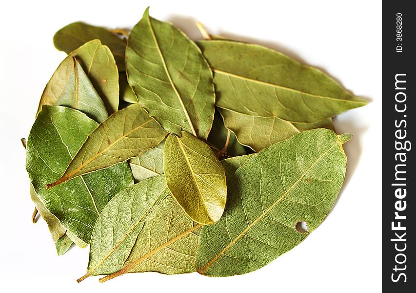 Some Bay Leaves On A White