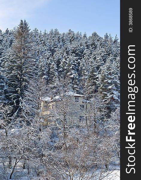 House Chalet in the forest during winter