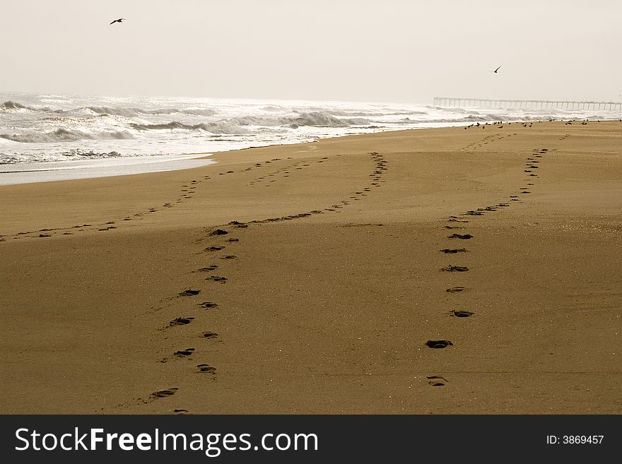 Footprints on the beach on a cloudy day