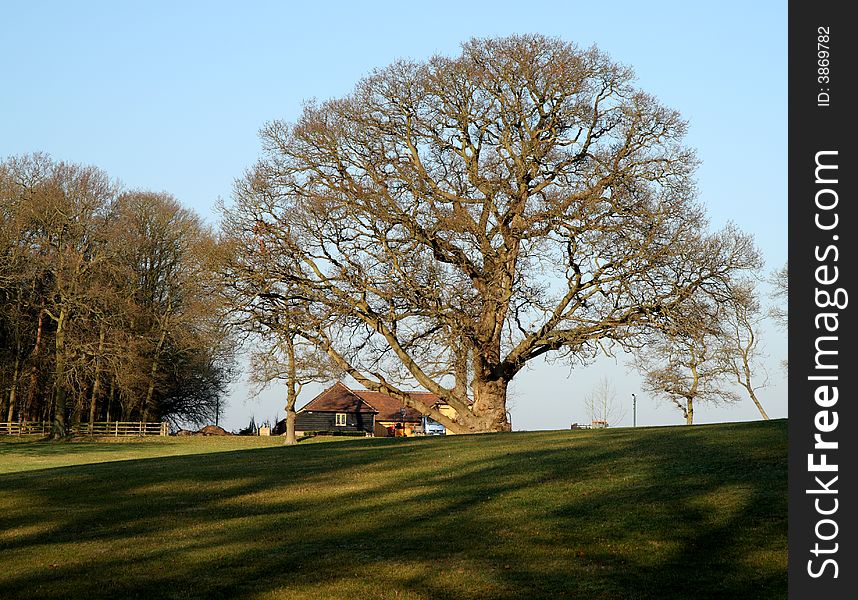 Hill top Farm against a blue Winter Sky