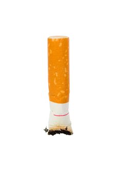 Macro Of Cigarette Butt Stock Image