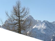 Snow Slope Winter Mountains Royalty Free Stock Images Snow Slope Winter Mountains Royalty Free Stock Images
