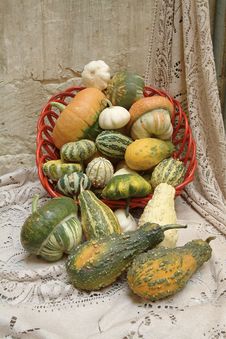 Decorative Pumpkins Stock Photo Decorative Pumpkins Stock Photo