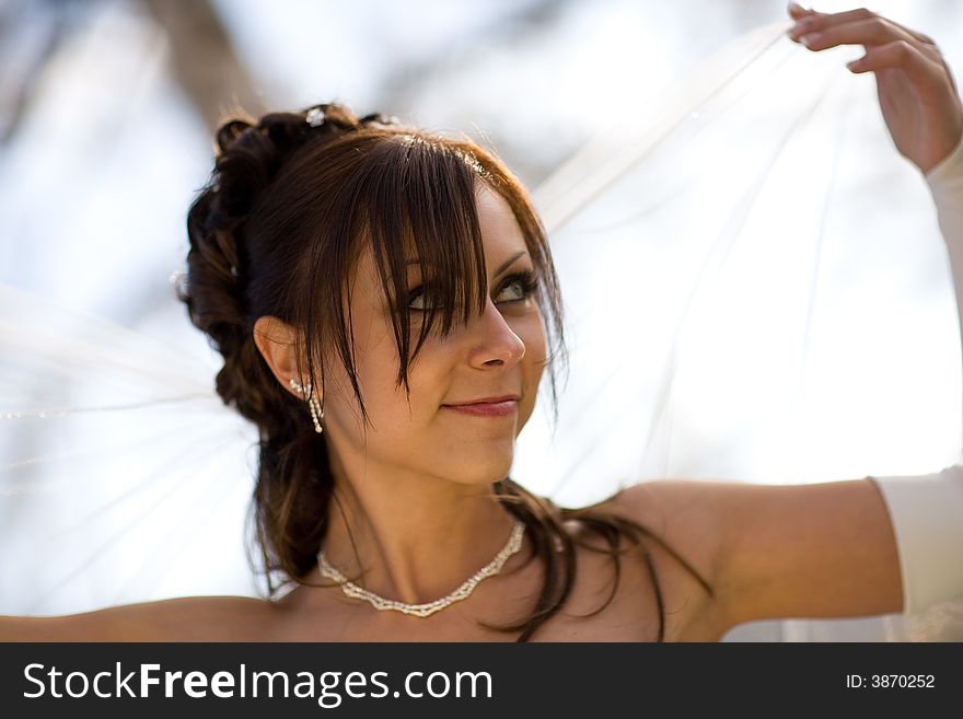 Beautiful bride in closeup, holding her veil over her head. Beautiful bride in closeup, holding her veil over her head