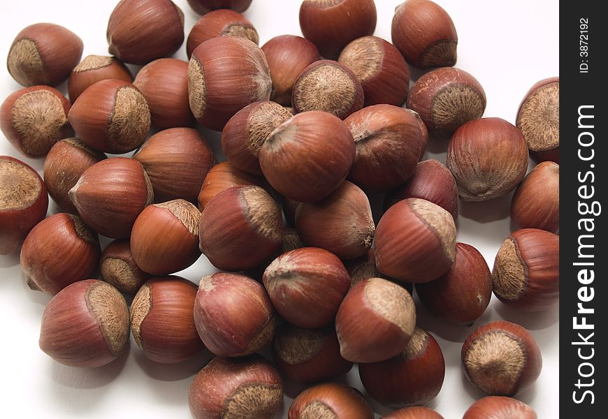 Photo of hazelnuts taken on white background.