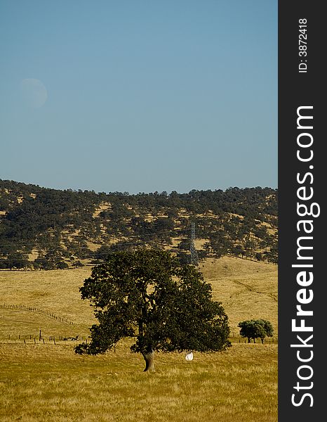 An outside, outdoors, adventure series; shot in CA and AZ