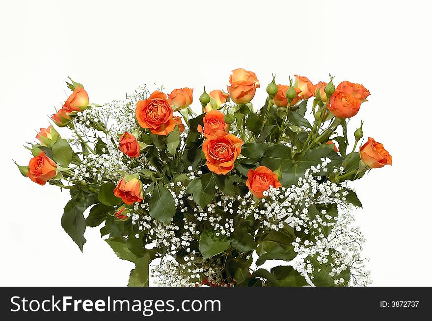 Bouquet from 19 roses. Isolated.