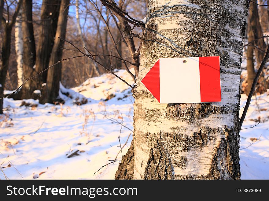 HIKING WAYMARK sign nailed on a tree. HIKING WAYMARK sign nailed on a tree