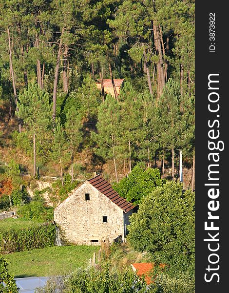 Old rustic house in the forest