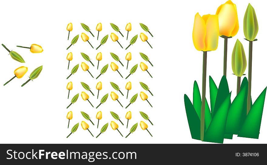 Vector illustration for a yellow tulip and pattern design.