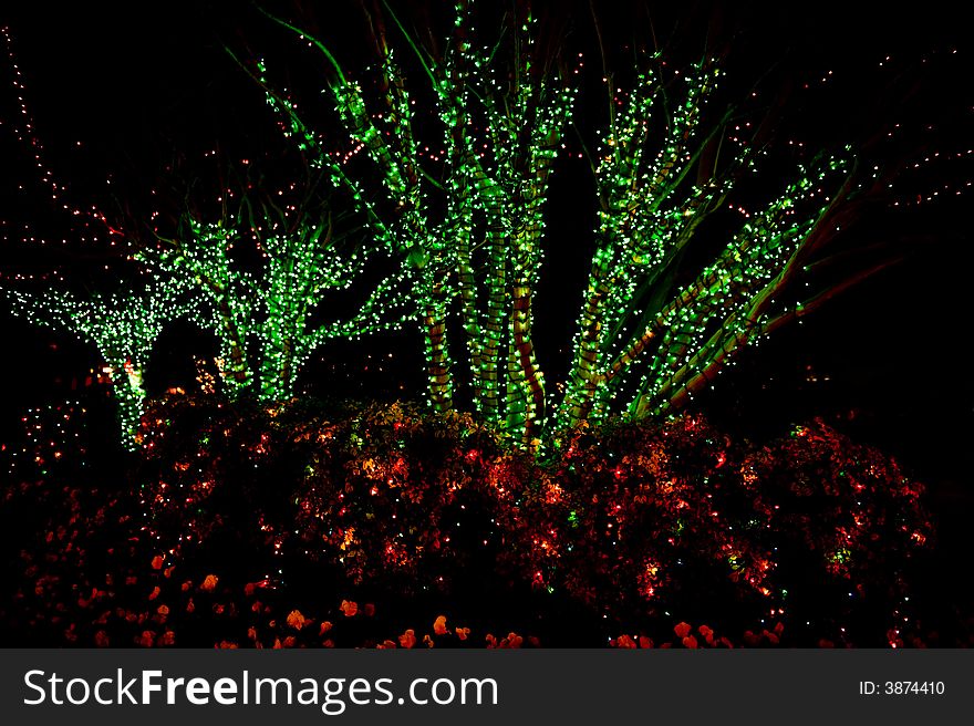 Outdoor Christmas Tree Lights Red and green