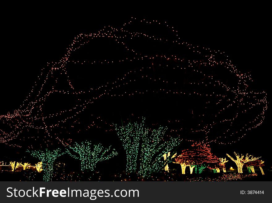 Outdoor Christmas Tree Lights