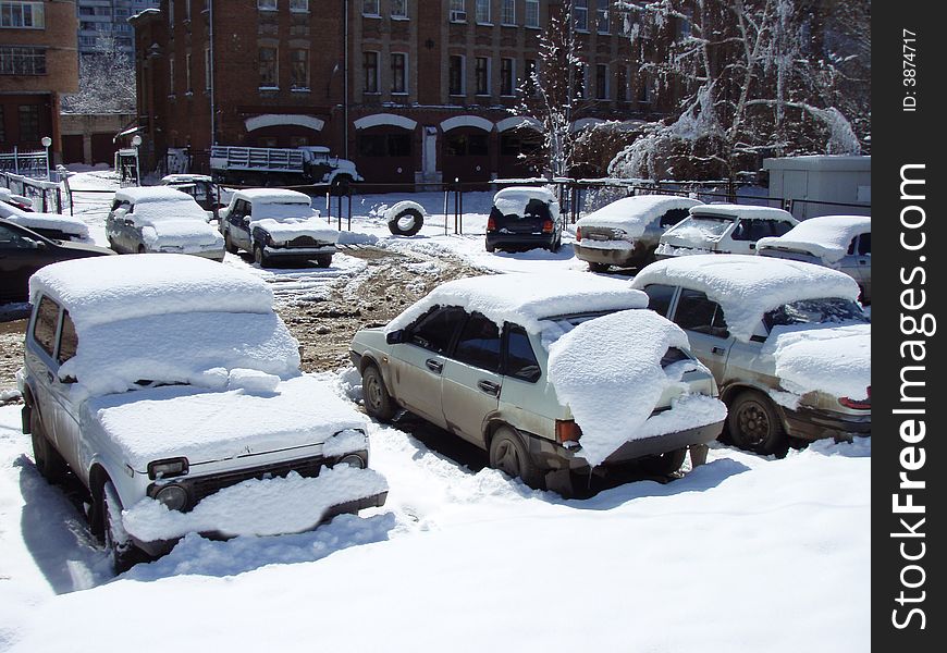 Cars covered by snow