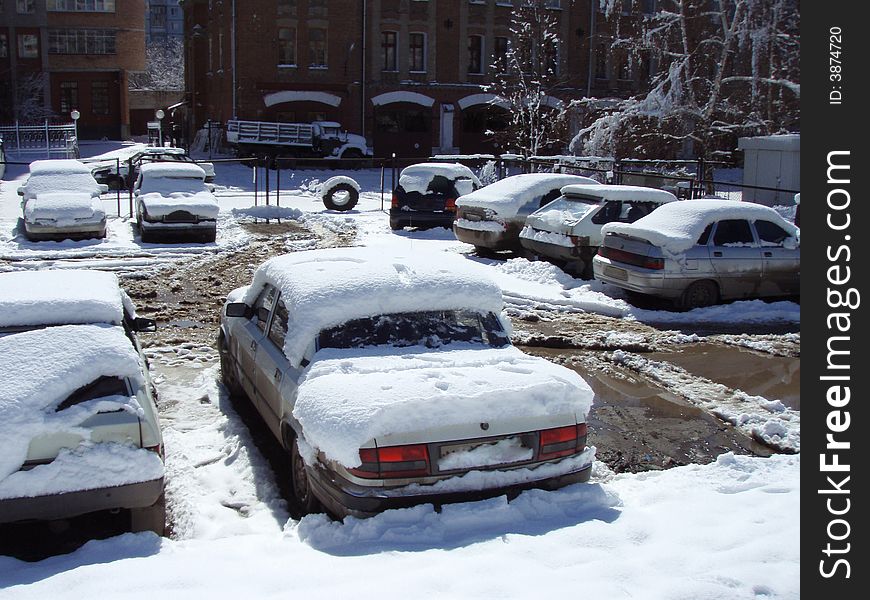 Cars covered by snow after the blizzard