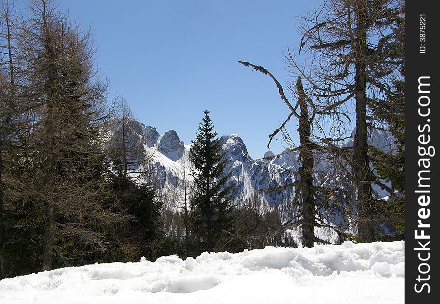 Beautiful winter mountain peaks with fresh snow and alpine vegetation, clear blue sky day background. Beautiful winter mountain peaks with fresh snow and alpine vegetation, clear blue sky day background