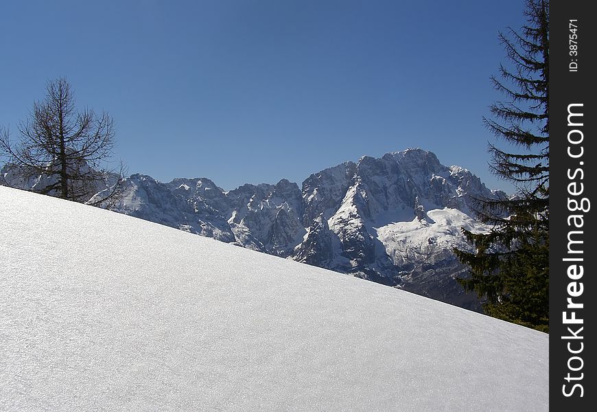 Beautiful winter mountain peaks covered in snow and fresh snow slope in front; alpine vegetation, clear blue sky day background, suitable for Christmas card. Beautiful winter mountain peaks covered in snow and fresh snow slope in front; alpine vegetation, clear blue sky day background, suitable for Christmas card