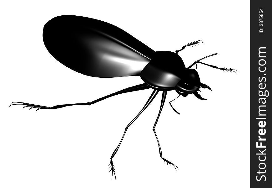 Black bug, realistick model, created with 3d max and rendered.